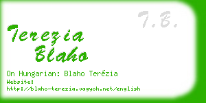 terezia blaho business card